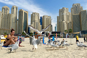 Названы лучшие отели ОАЭ для семейного отдыха