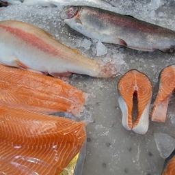 Предприятия хотели бы узнать детали предложения по регулированию экспорта лосося
