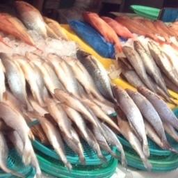В Южной Корее потребление рыбы поддерживают скидками