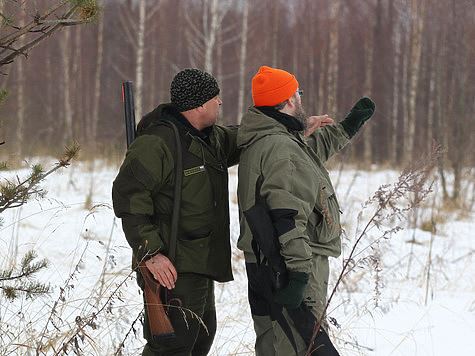 Омская область завершает охоту на взрослых лосей